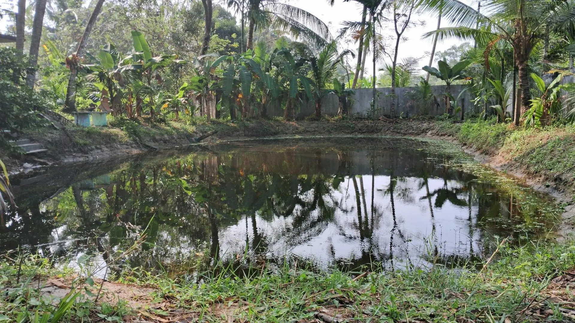 Prana Homestay Mararikulam India